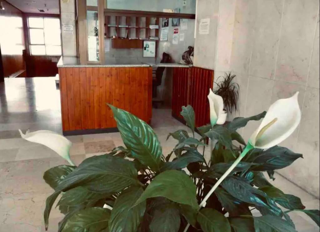 La Posada Del Viajero Apartment Torremolinos Luaran gambar